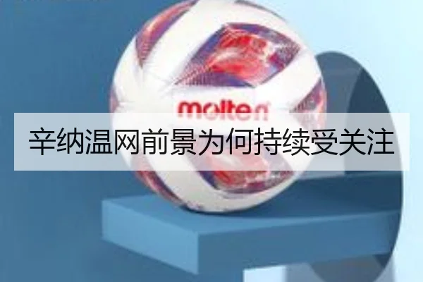 辛纳温网前景为何持续受关注